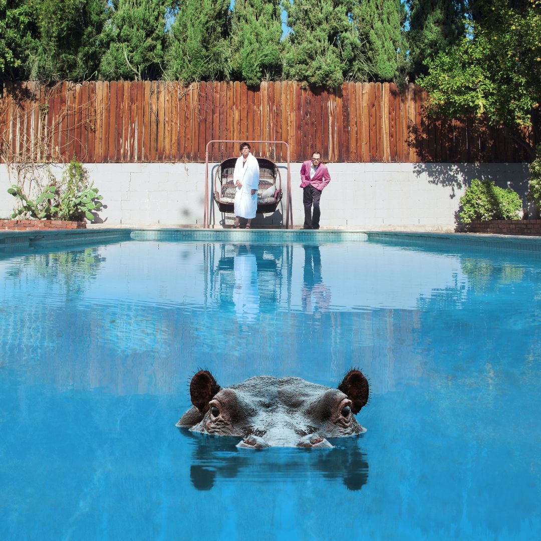 Hippopotamus - Album Cover