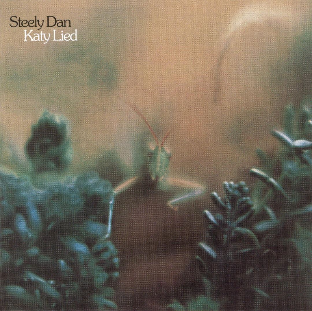 Katy Lied - Album Cover