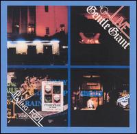 The Official Live - Playing The Fool - Album Cover
